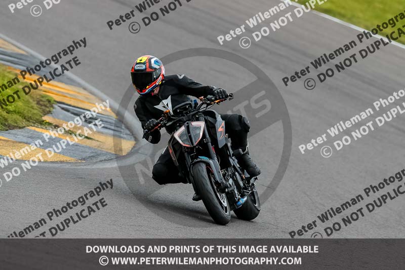 PJ Motorsport 2019;anglesey no limits trackday;anglesey photographs;anglesey trackday photographs;enduro digital images;event digital images;eventdigitalimages;no limits trackdays;peter wileman photography;racing digital images;trac mon;trackday digital images;trackday photos;ty croes